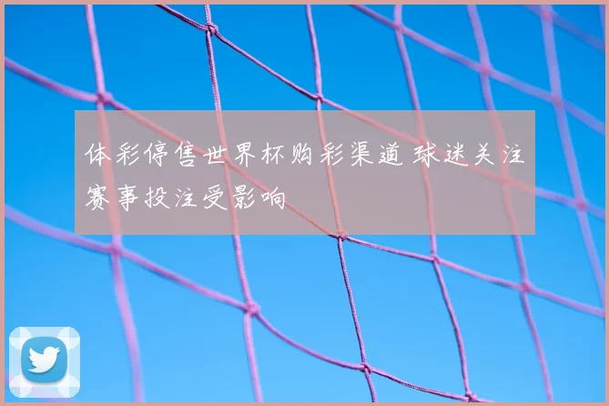 体彩停售世界杯购彩渠道 球迷关注赛事投注受影响