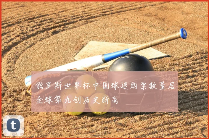 俄罗斯世界杯中国球迷购票数量居全球第九创历史新高