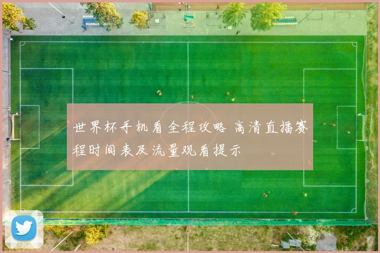 世界杯手机看全程攻略 高清直播赛程时间表及流量观看提示